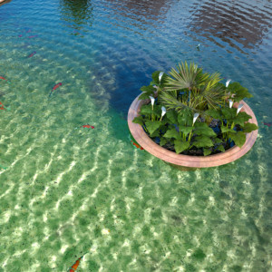Bassin Set 01 - Extended version - Image 3
