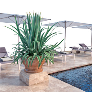 Bassin Set 01 - Extended version - Image 5